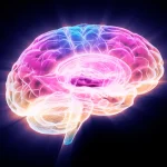 mult color glowing brain